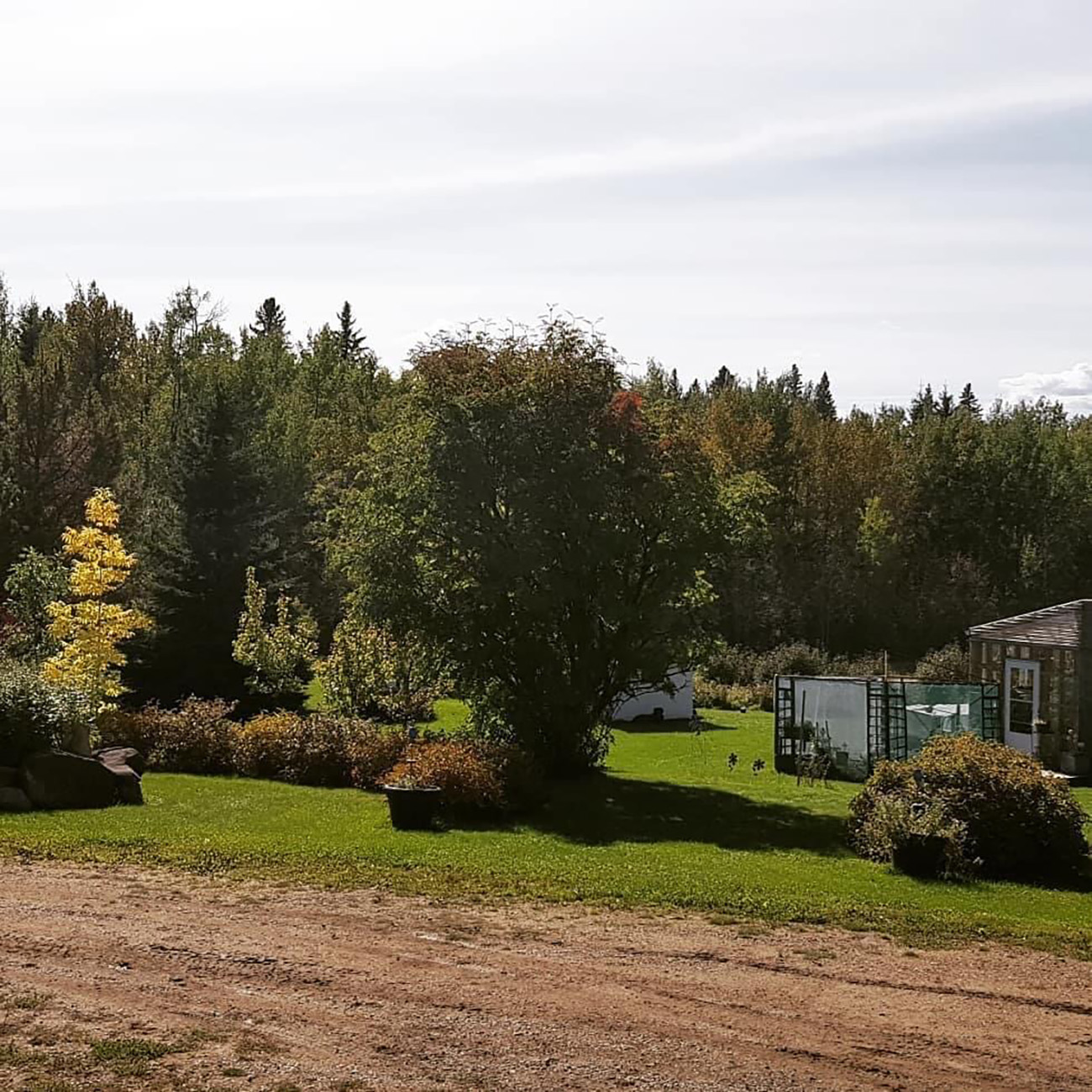 Wild Country Gardens cover