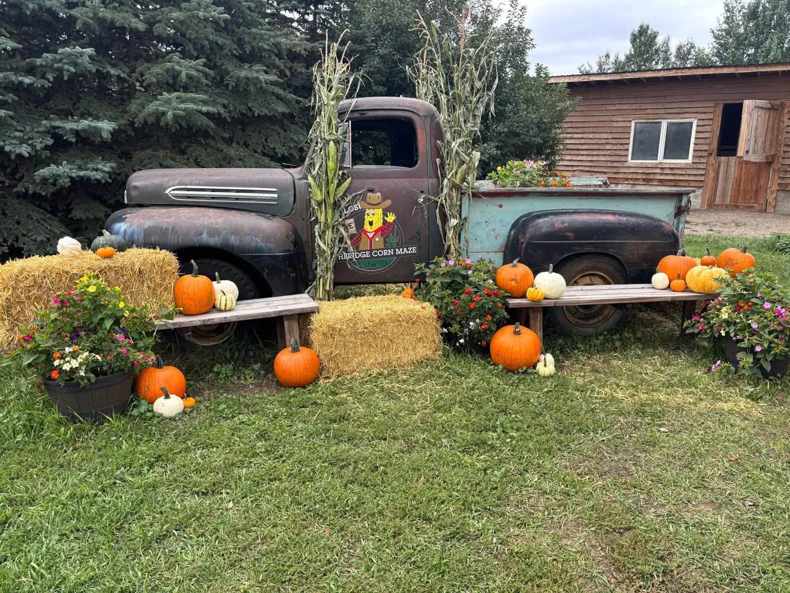 Robinpick Berry Farm & Lethbridge Corn Maze cover