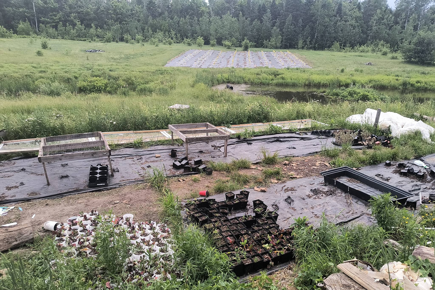 The Green Bear Farm