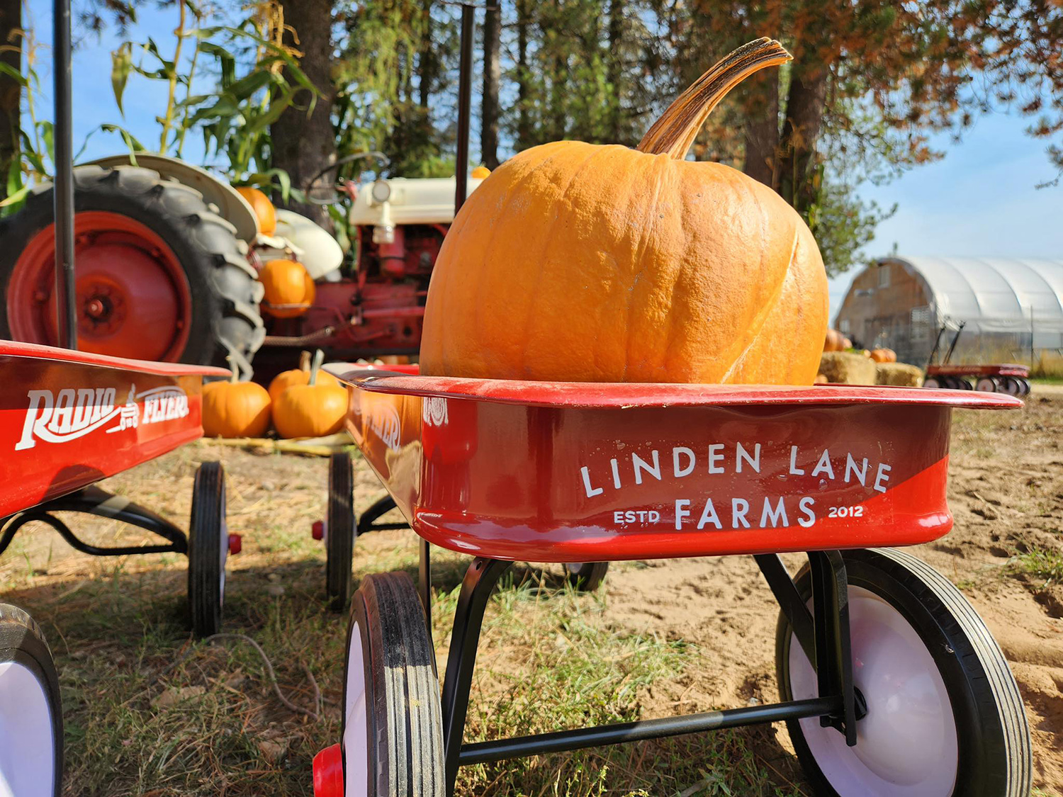 Linden Lane Farms cover