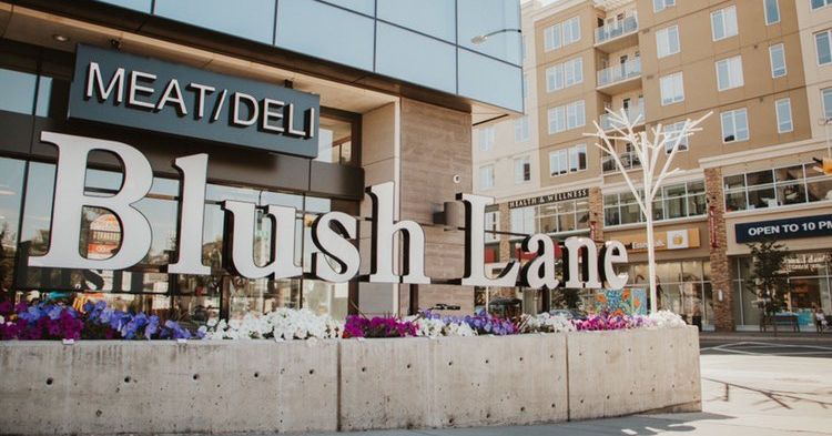 Blush Lane Organic Market cover