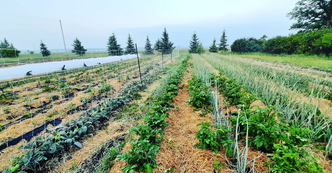 Swallowtail Farmstead