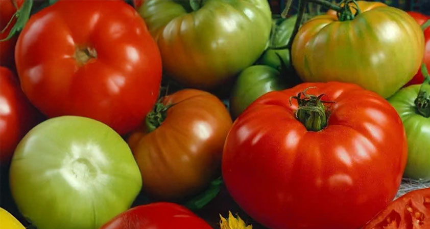 Organic Heirloom Tomatoes