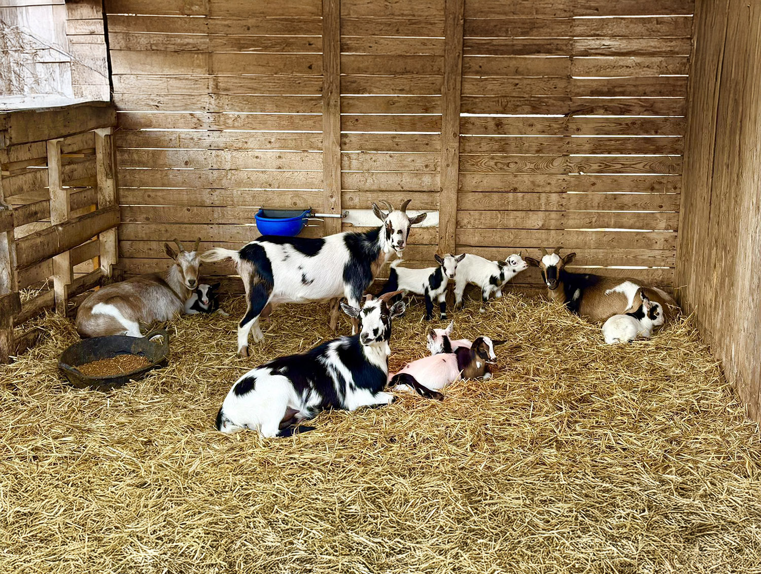 Robbins Family Farm