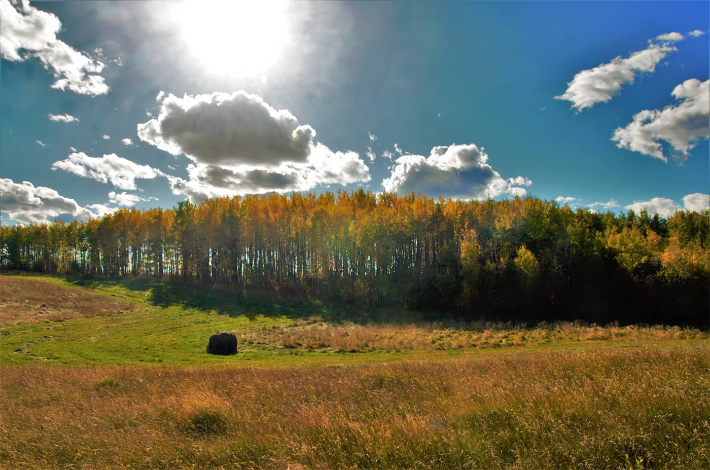 Stonepost Farms