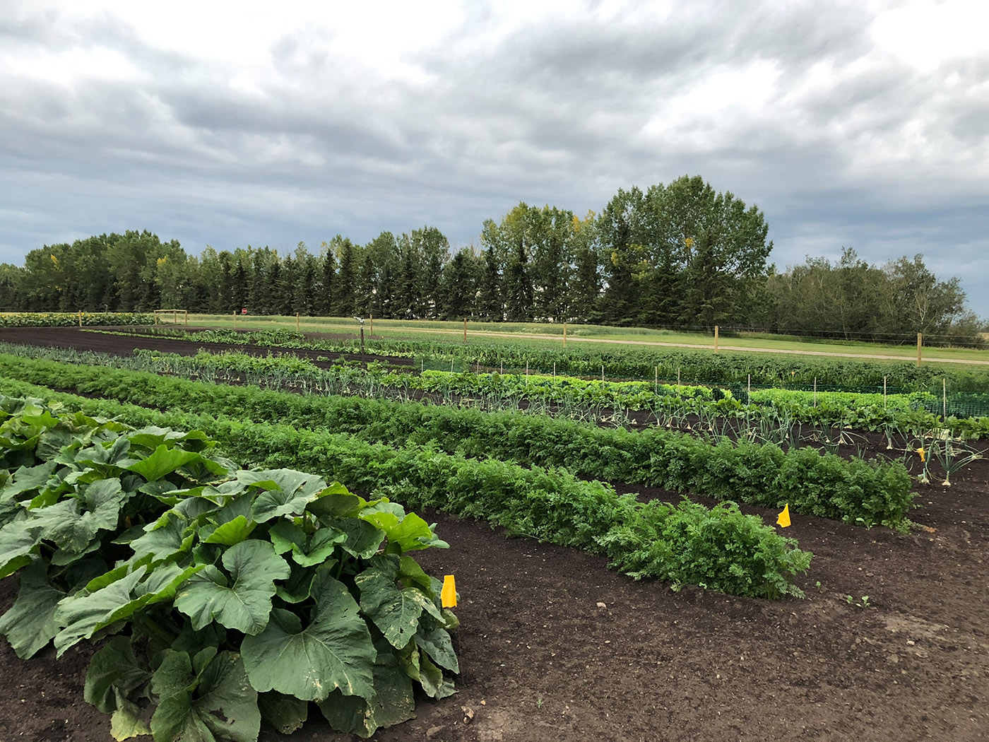 Fifth Gen Farms